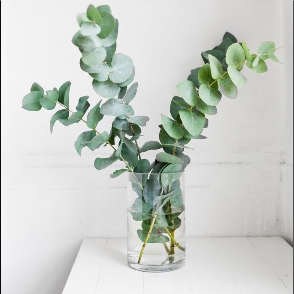 Meet your Posher, Alejandra